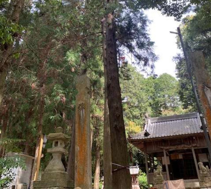 神社2.JPG