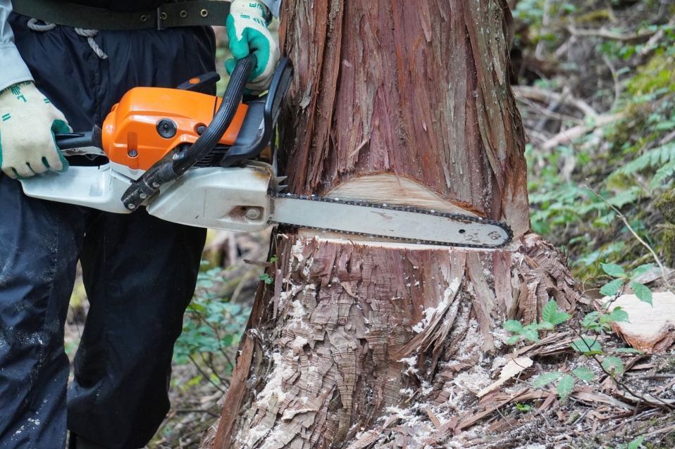 27700724_m (1).jpg