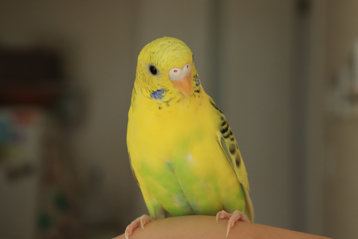 34825761_m.jpg