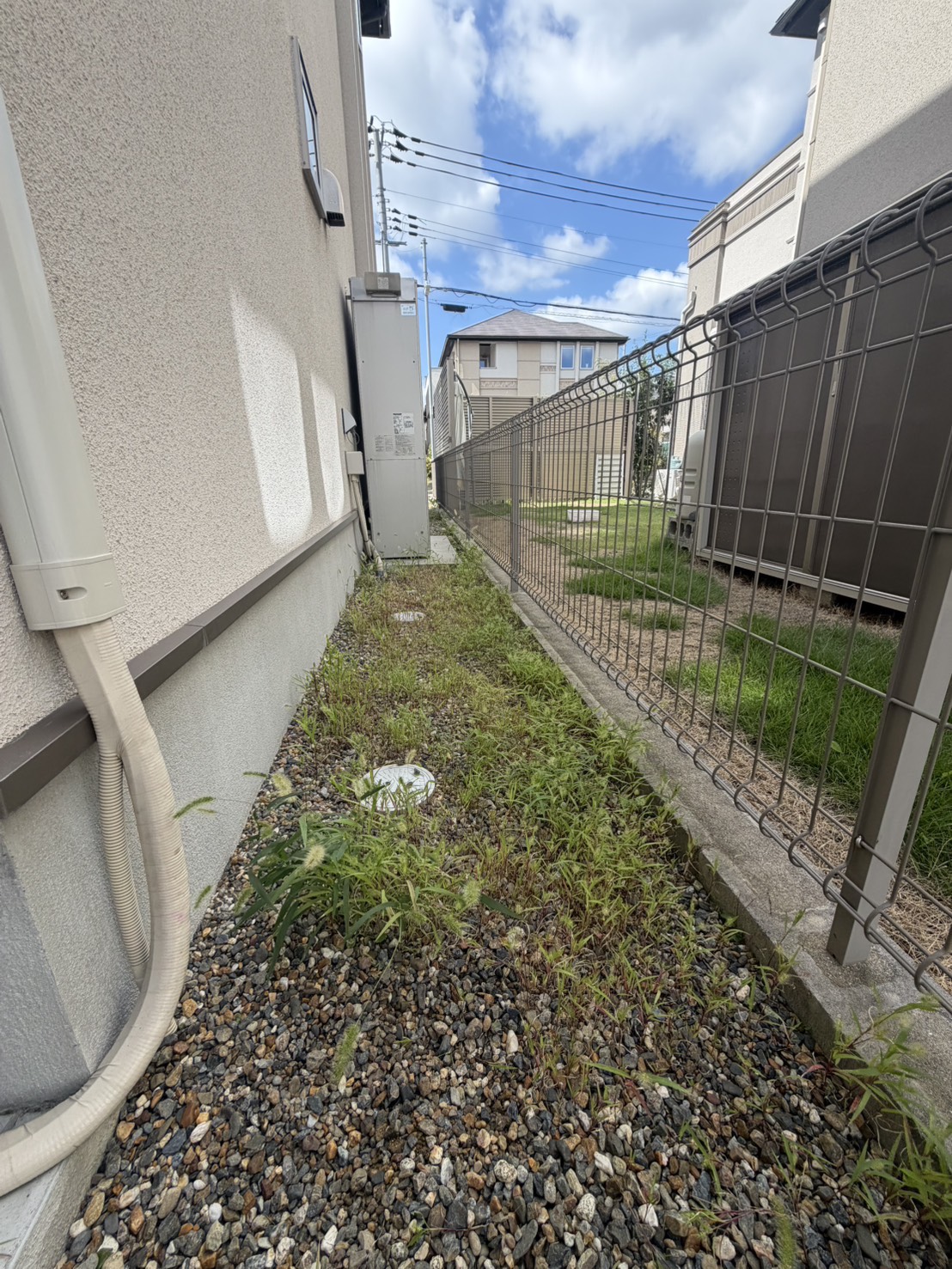 S__320741387.jpg