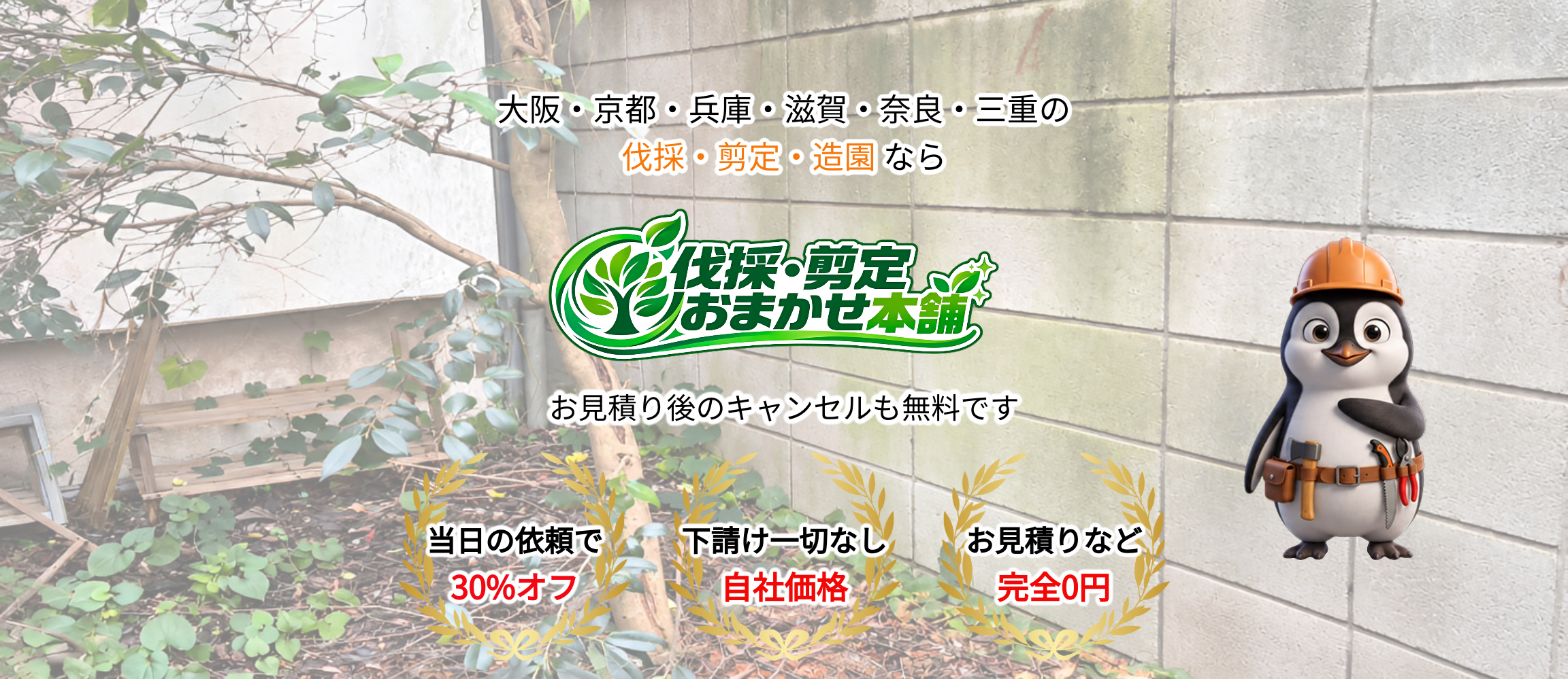 デフォルトの画像
