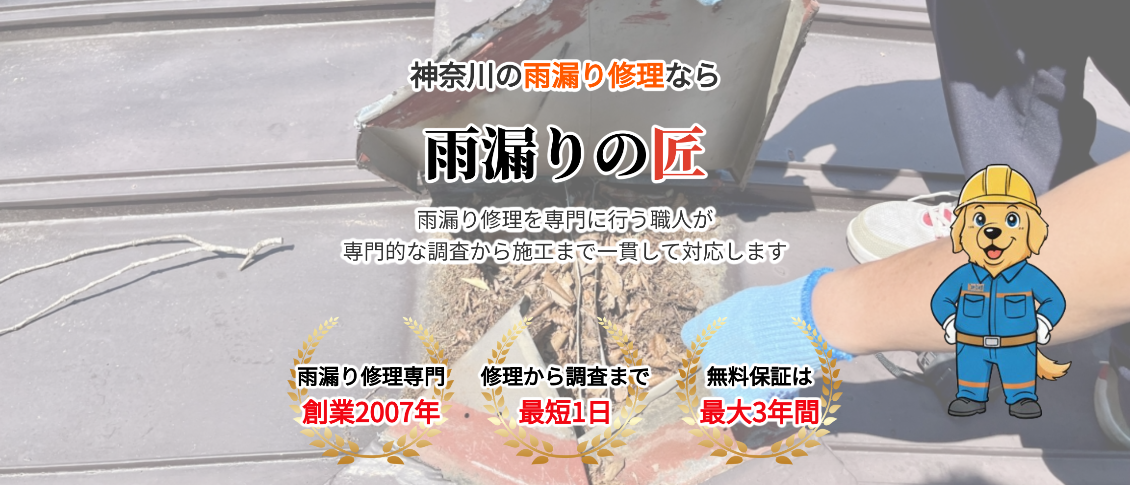 デフォルトの画像