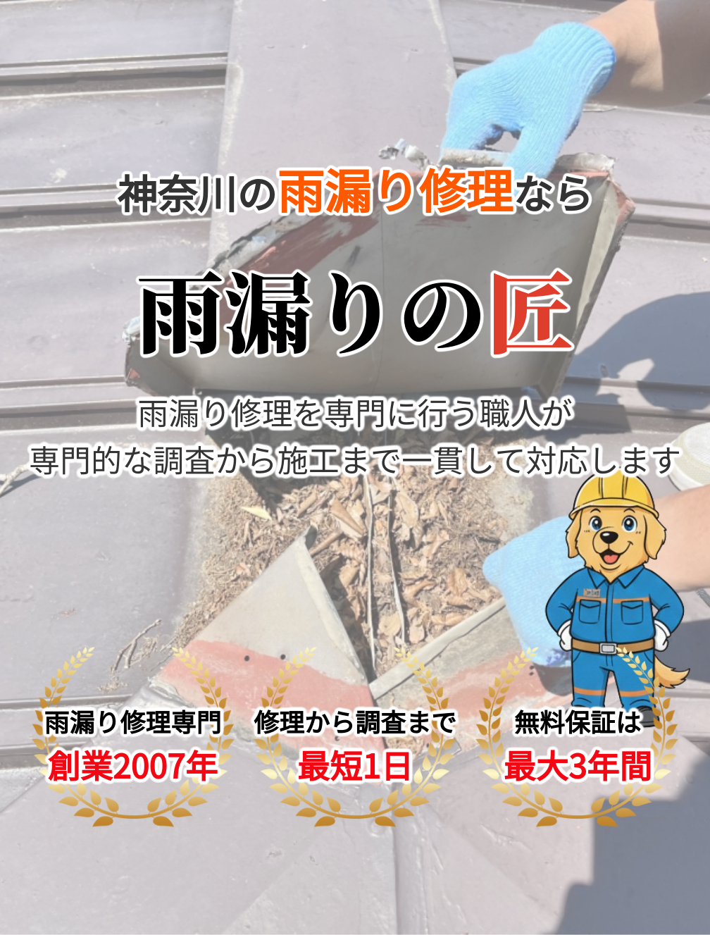 デフォルトの画像