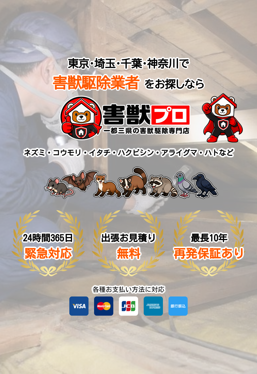 デフォルトの画像