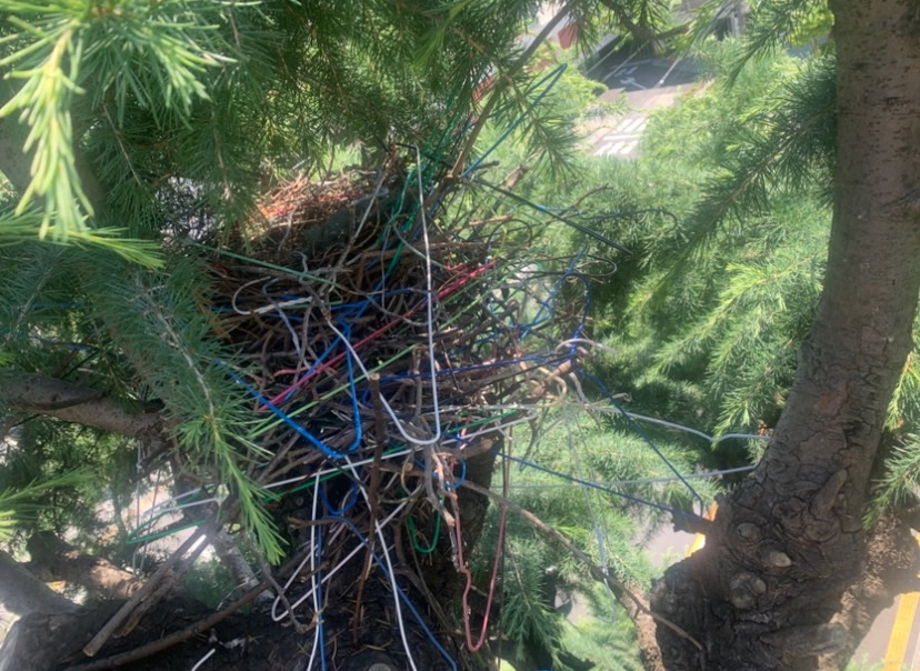 LINE_20250917_143338 (1).jpg