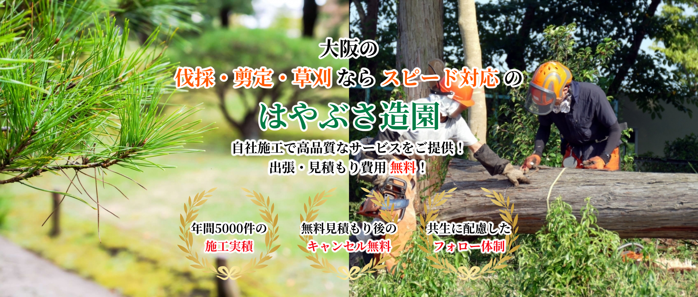 デフォルトの画像