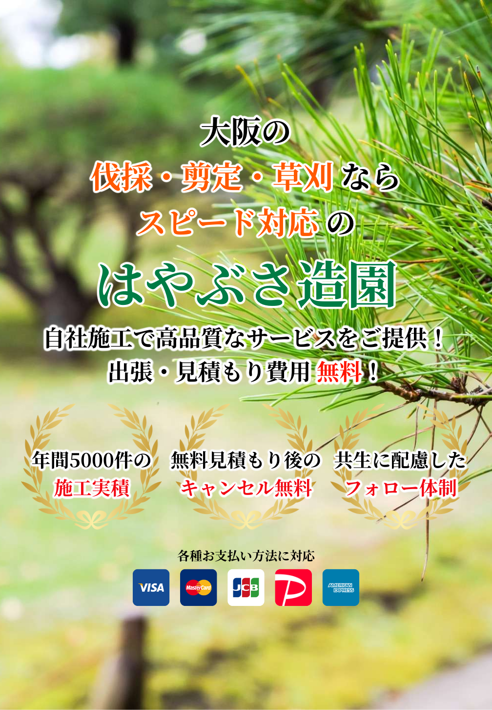 デフォルトの画像