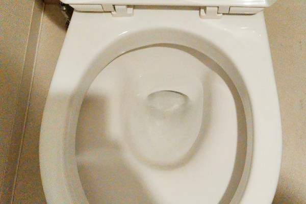 ca34253a859fc421b842b4dc33733db51_28167191_191105_0002-600x400 (1) 1.jpg