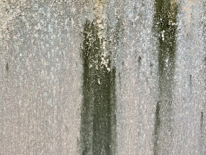 24422256_m.jpg