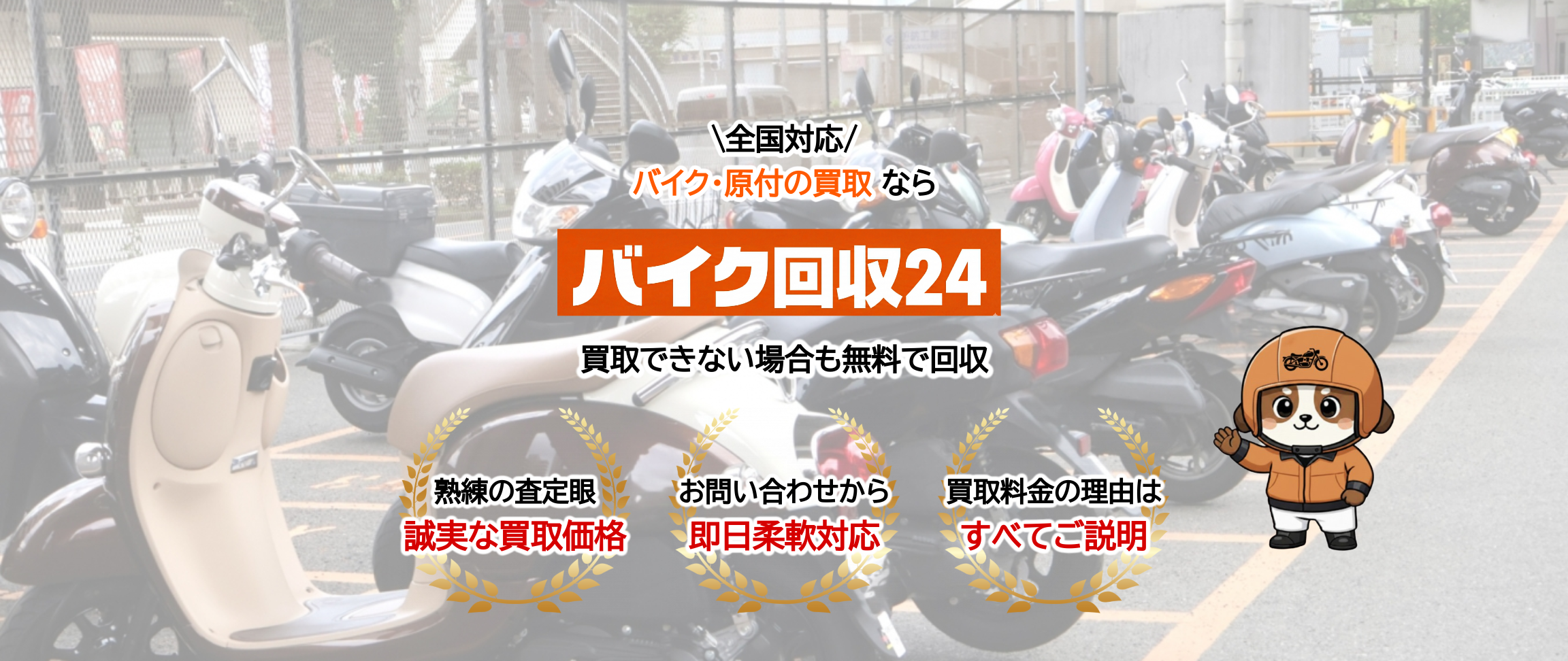 デフォルトの画像
