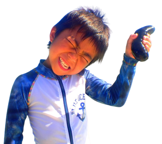 836f737eb42817023dde011249f4dbde.png
