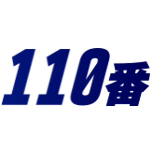 FS30.png