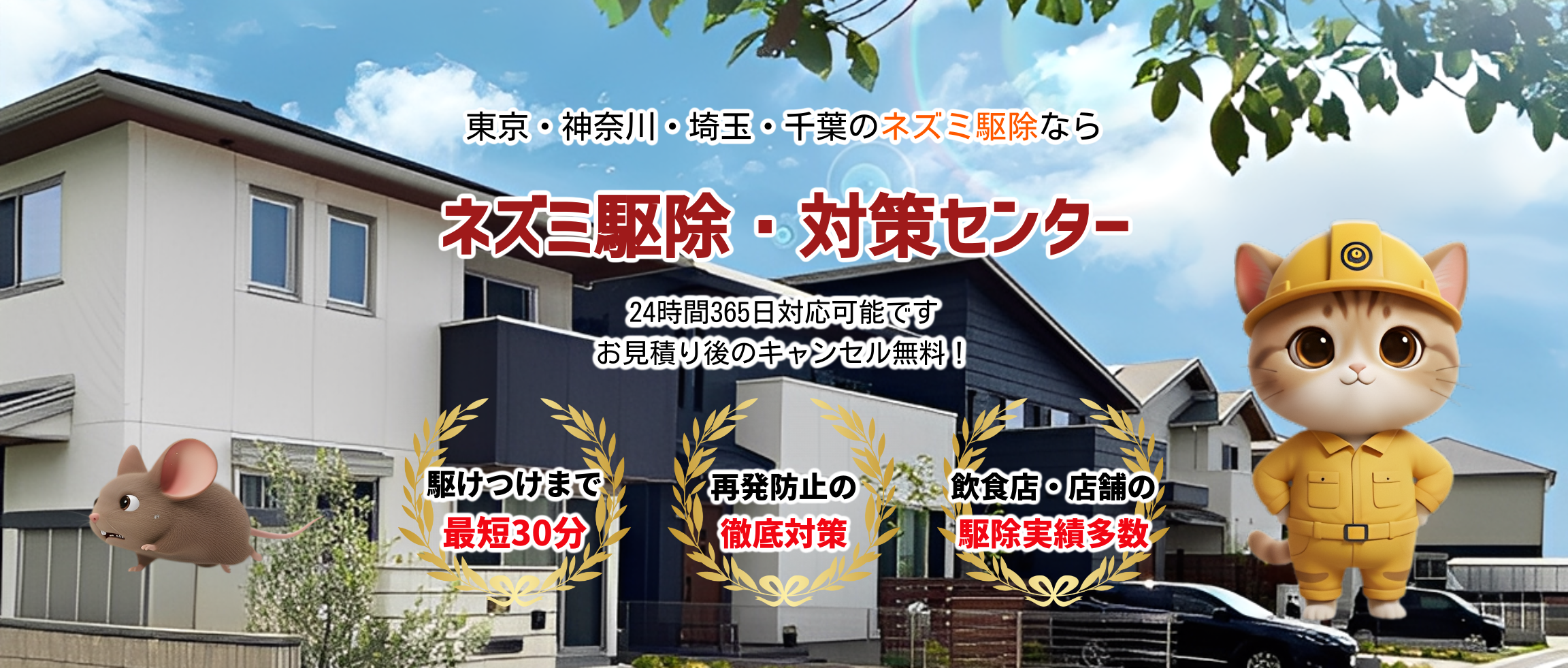 デフォルトの画像