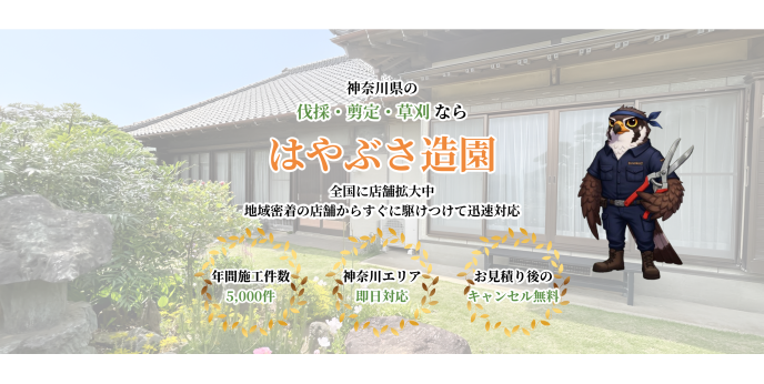 08ジェネシス.png