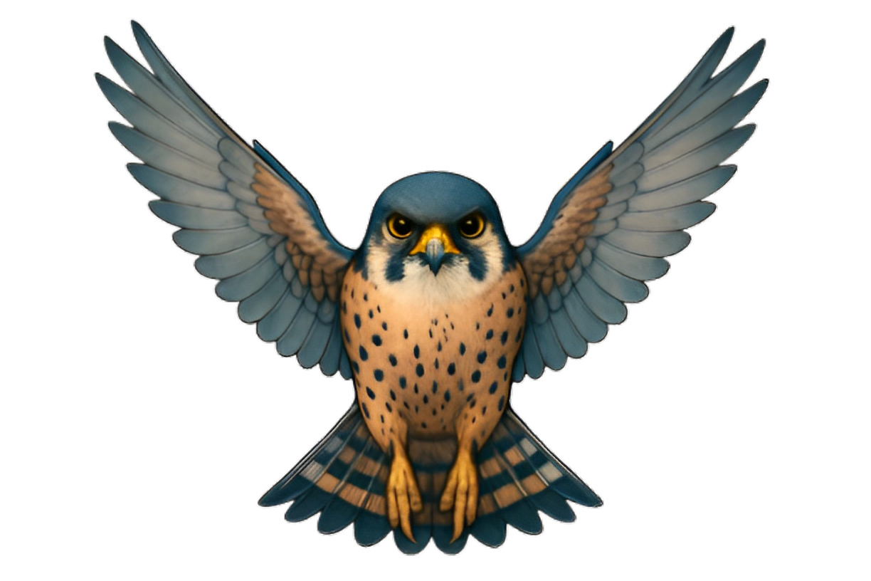 90e5e09c-f3f1-42bd-96fd-7c76388bc521.png