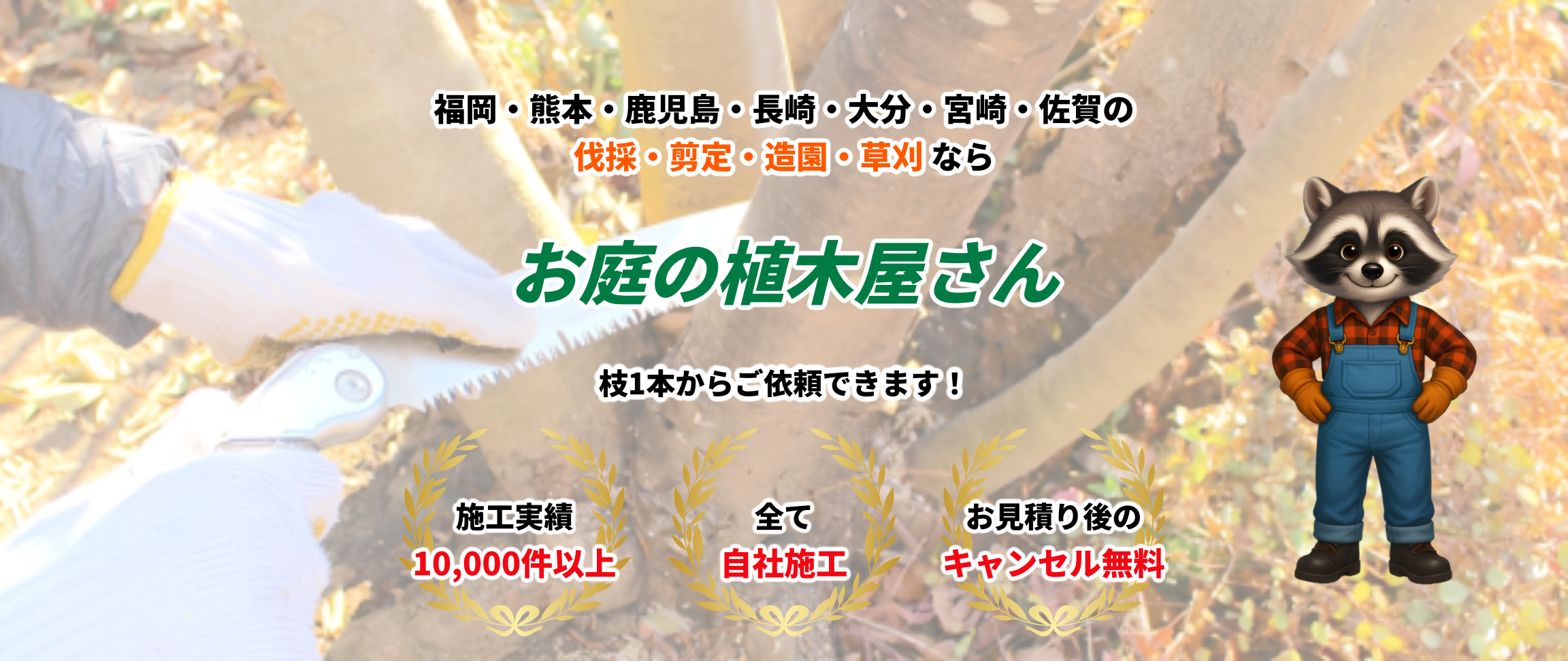 デフォルトの画像
