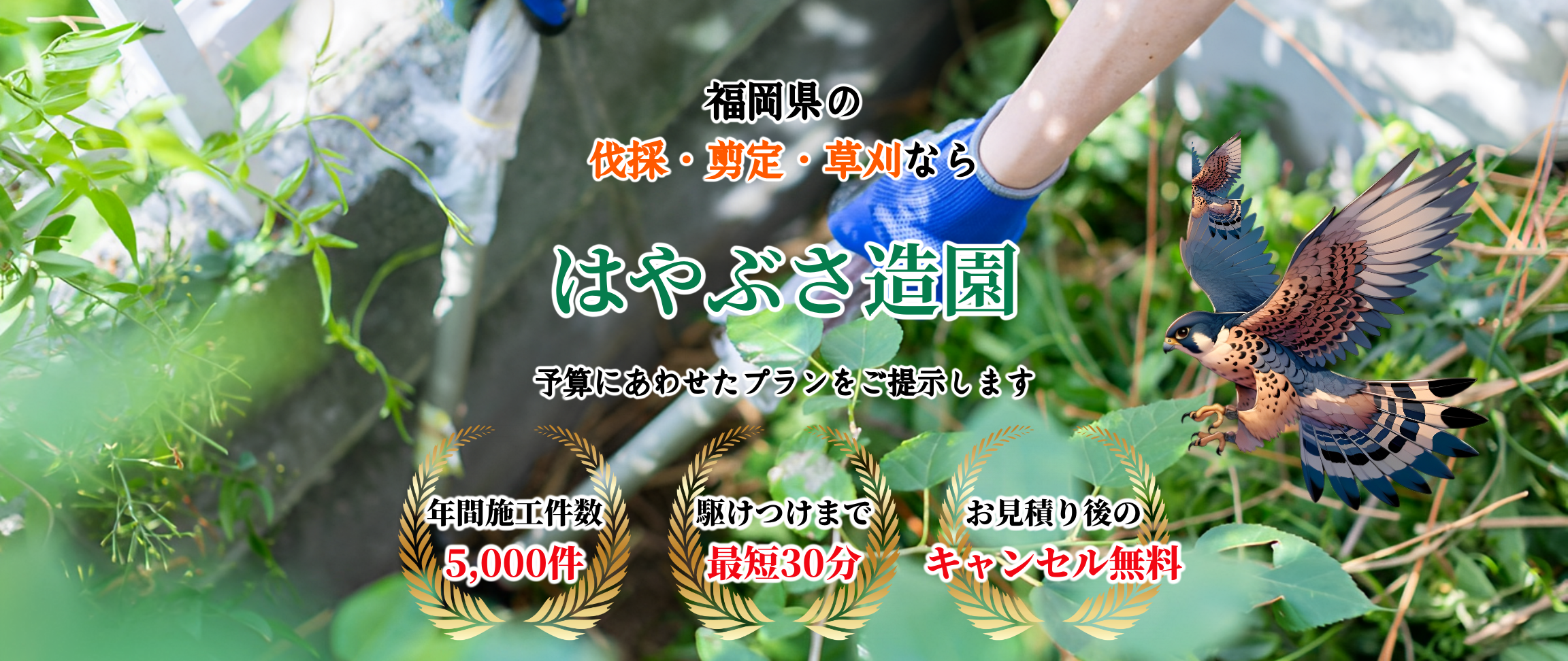 デフォルトの画像
