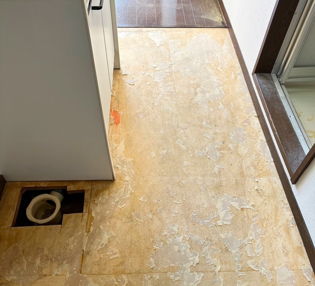 S__53616646 1 (2).jpg