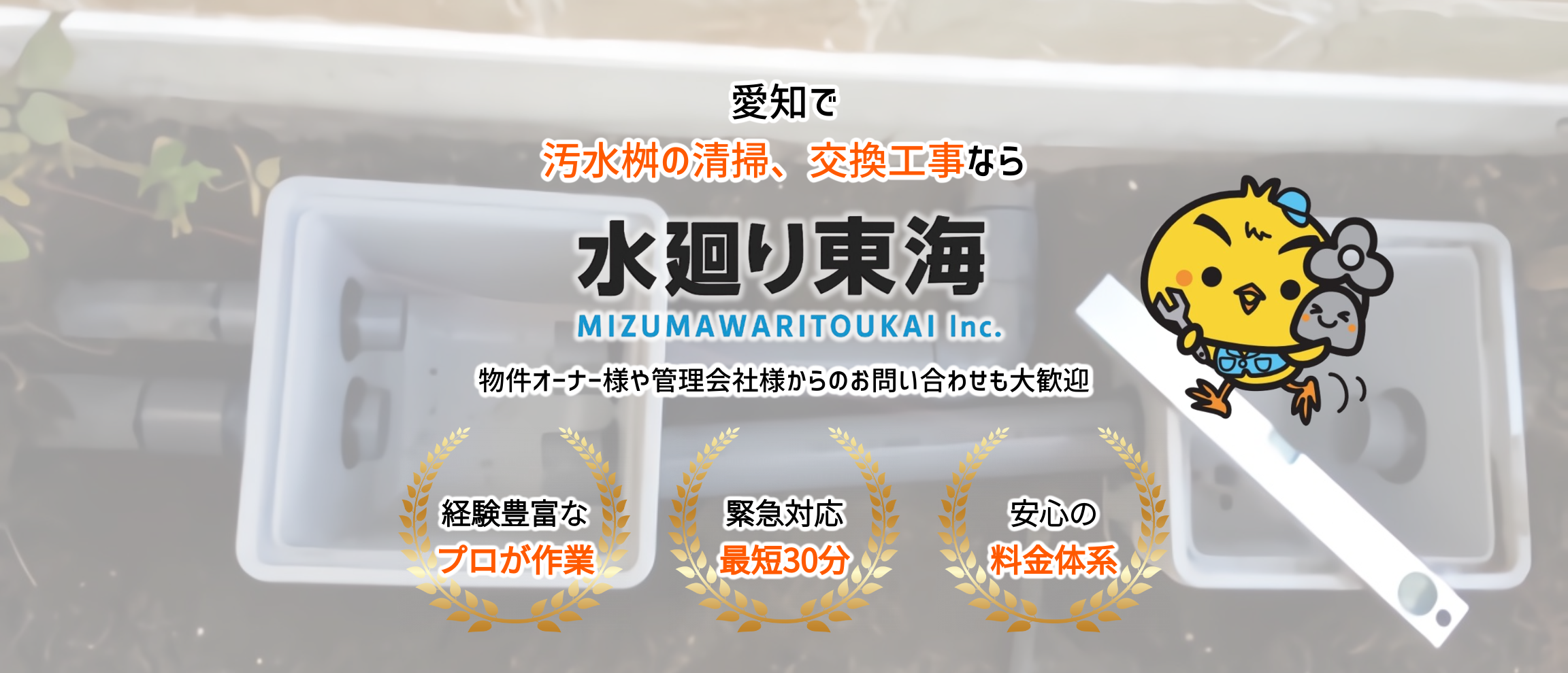 デフォルトの画像